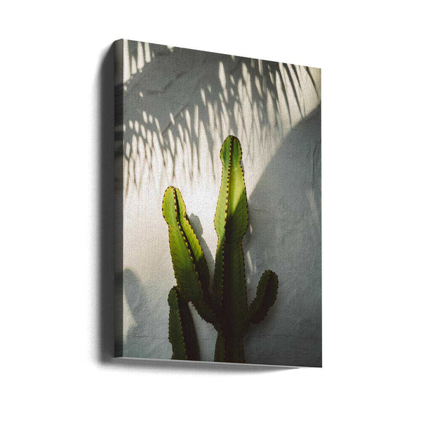 Tablou canvas „Socal Shadows” de Bethany Young