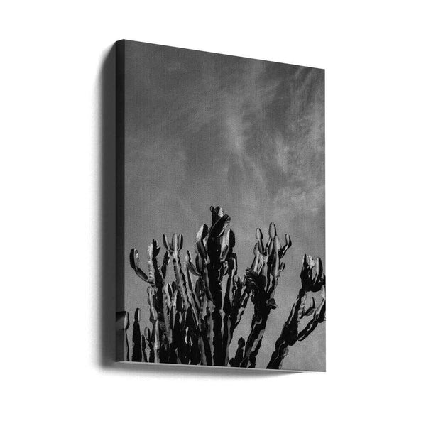 Tablou canvas „Monochrome Cactus Sky” de Bethany Young