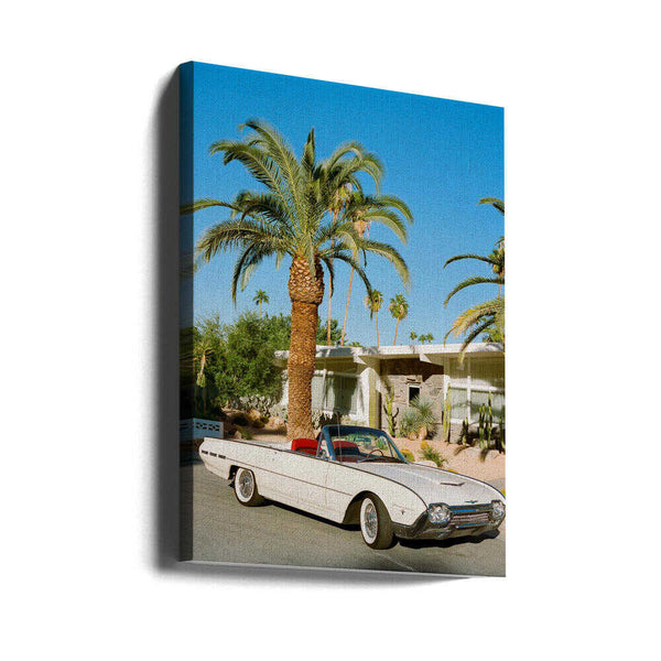 Tablou canvas „Palm Springs Thunderbird” de Bethany Young