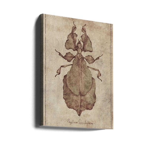 Tablou canvas „Phyllium Siccifolium Copy” de Mike Koubou