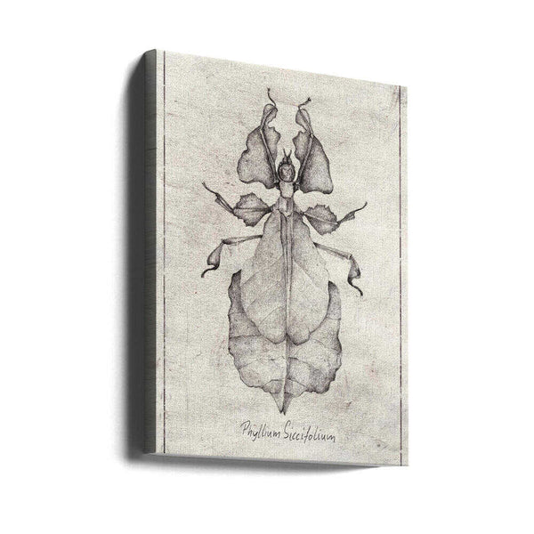 Tablou canvas „Phyllium Siccifolium” de Mike Koubou