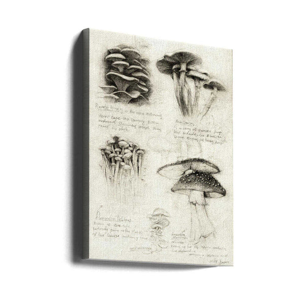 Tablou canvas „Various Botanical Mushrooms” de Mike Koubou