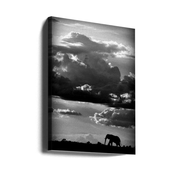 Tablou canvas „He walks under an African Sky” de WildPhotoArt