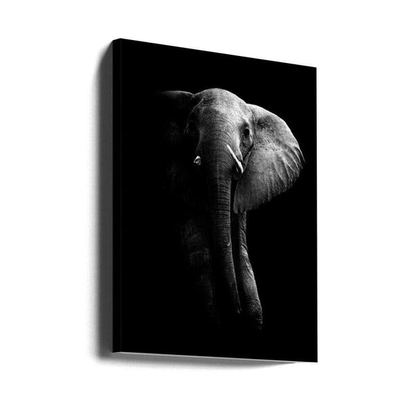 Tablou canvas „Elephant!” de WildPhotoArt