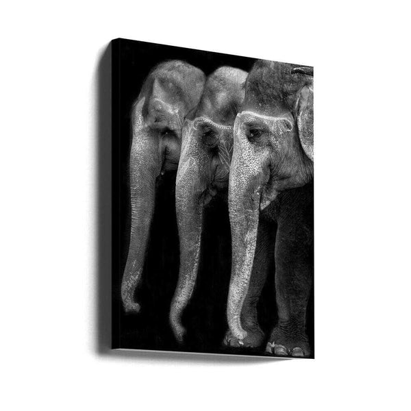Tablou canvas „Nature\'s great masterpiece, an elephant; the only harmless great thing ...” de Yvette Depaepe