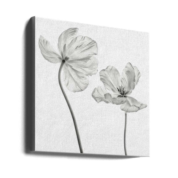 Tablou canvas „Same tulip : front- and backview” de Lotte Grønkjær