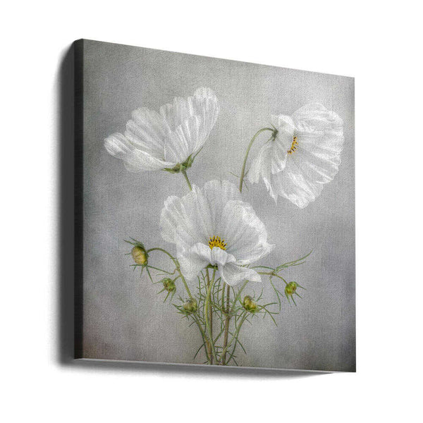 Tablou canvas „Cosmos Charm” de Mandy Disher