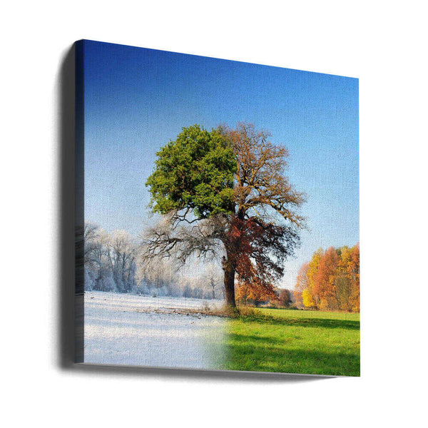 Tablou canvas „4 seasons” de Adam Brzuszek