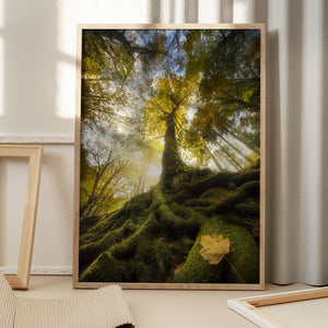 Tablou înramat „The goodbye of a leaf” de Alberto Ghizzi Panizza