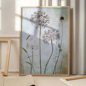 Tablou înramat „Allium” de Mandy Disher