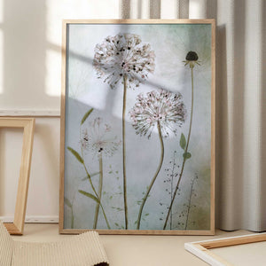 Tablou înramat „Allium” de Mandy Disher
