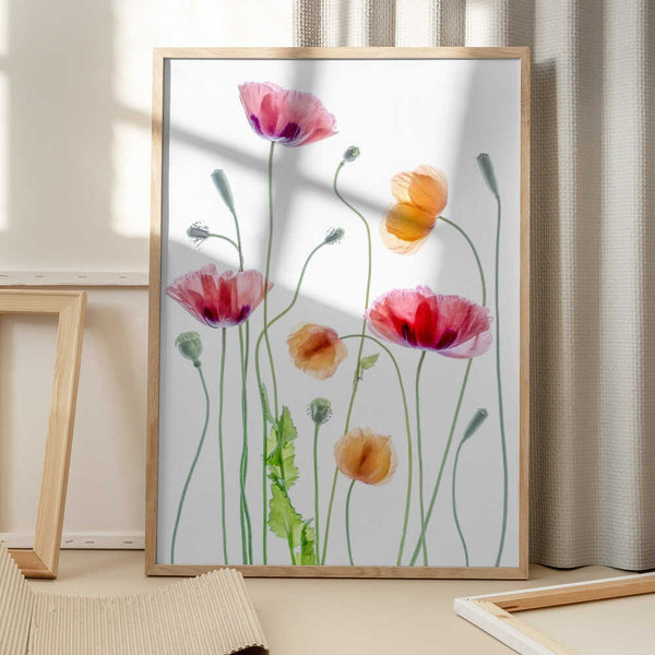 Tablou înramat „Poppies” de Mandy Disher
