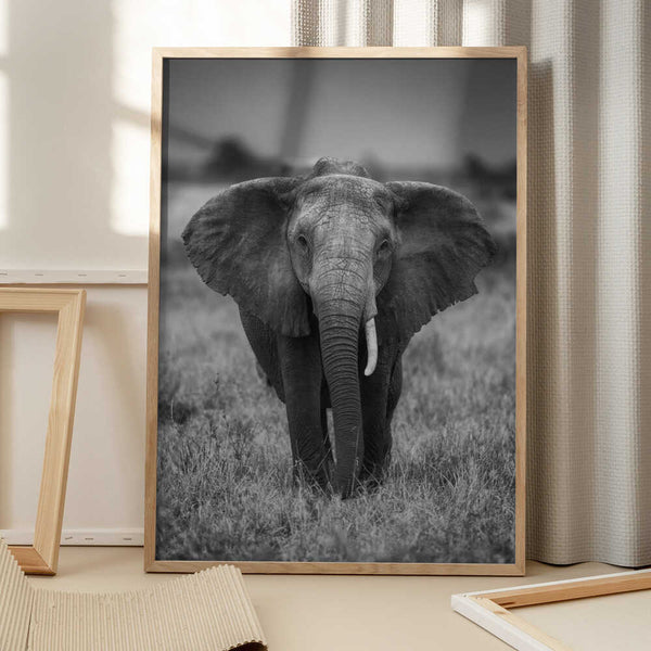 Tablou înramat „SINGULARITY” de Jaco Marx