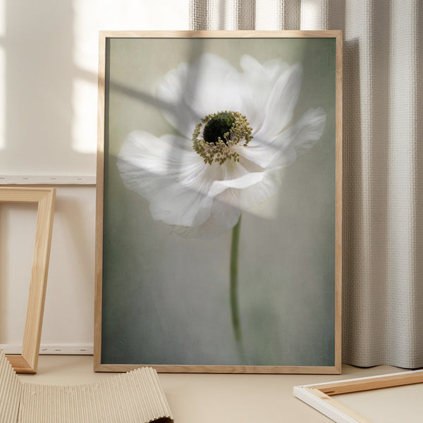 Tablou înramat „Single White” de Jacky Parker