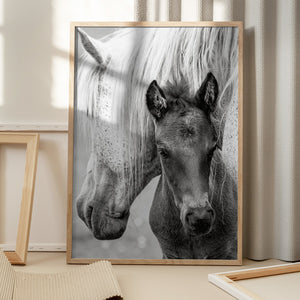 Tablou înramat „The Foal” de Jacky Parker
