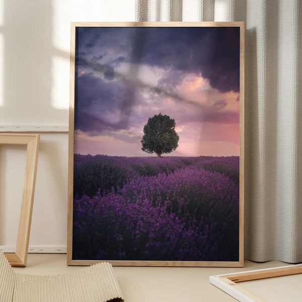 Tablou înramat „Lavender Fields, Isparta” de Cuma Cevik