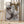 Tablou înramat „Brown Seaweed” de Pictufy Studio II