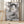 Tablou înramat „Resting” de Pictufy Studio II
