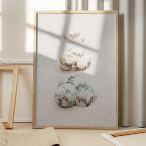 Tablou înramat „Shells” de Pictufy Studio III