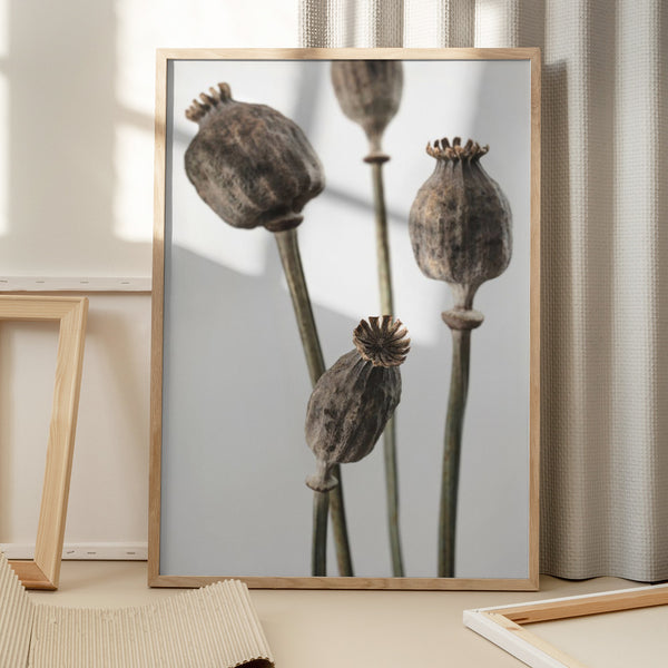 Tablou înramat „Dried_006” de Pictufy Studio III