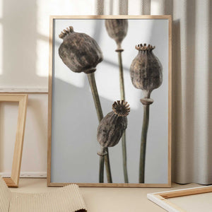 Tablou înramat „Dried_006” de Pictufy Studio III