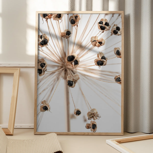 Tablou înramat „Dried_007” de Pictufy Studio III