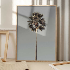 Tablou înramat „Palm_001” de Pictufy Studio III