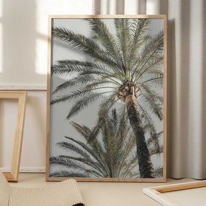 Tablou înramat „Palm_005” de Pictufy Studio III