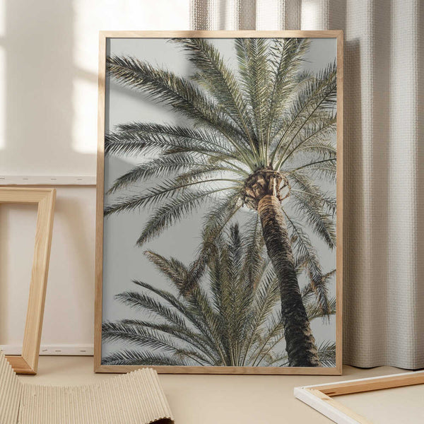 Tablou înramat „Palm_005” de Pictufy Studio III