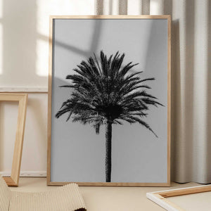 Tablou înramat „Palm_003” de Pictufy Studio III