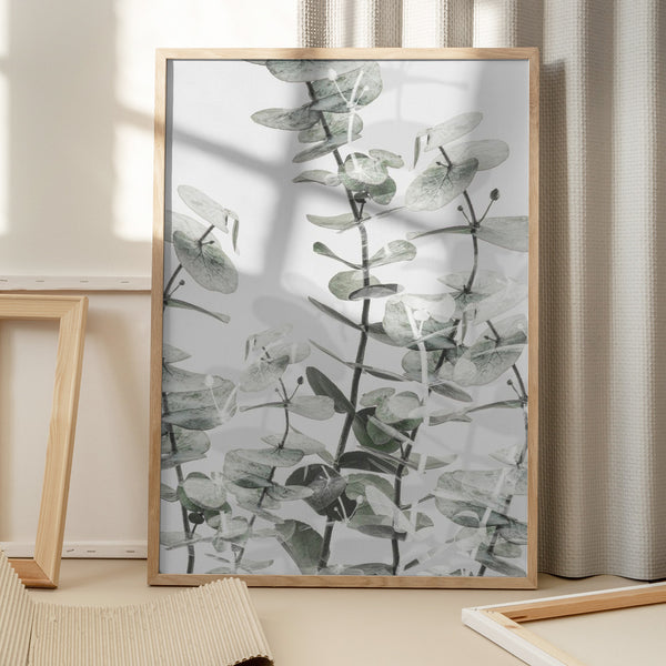 Tablou înramat „Eucalyptus_001” de Pictufy Studio III