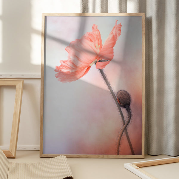 Tablou înramat „Tenderness” de Lenka