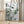 Tablou înramat „Eucalyptus_003” de Pictufy Studio III