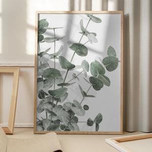 Tablou înramat „Eucalyptus_003” de Pictufy Studio III