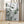 Tablou înramat „Eucalyptus_003” de Pictufy Studio III