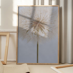 Tablou înramat „Delicate Dandelion” de uplusmestudio