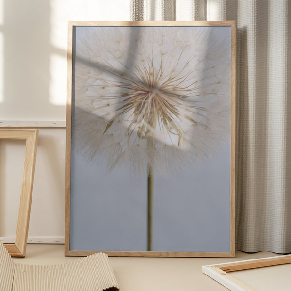 Tablou înramat „Delicate Dandelion” de uplusmestudio