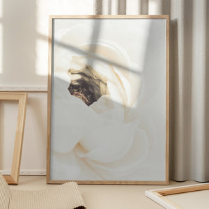 Tablou înramat „White Flower 01” de Pictufy Studio III