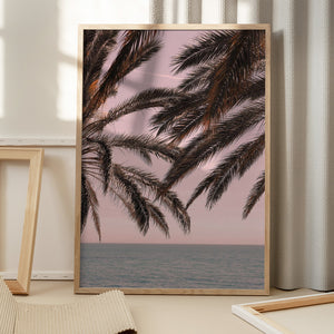 Tablou înramat „Palm_011” de Pictufy Studio III