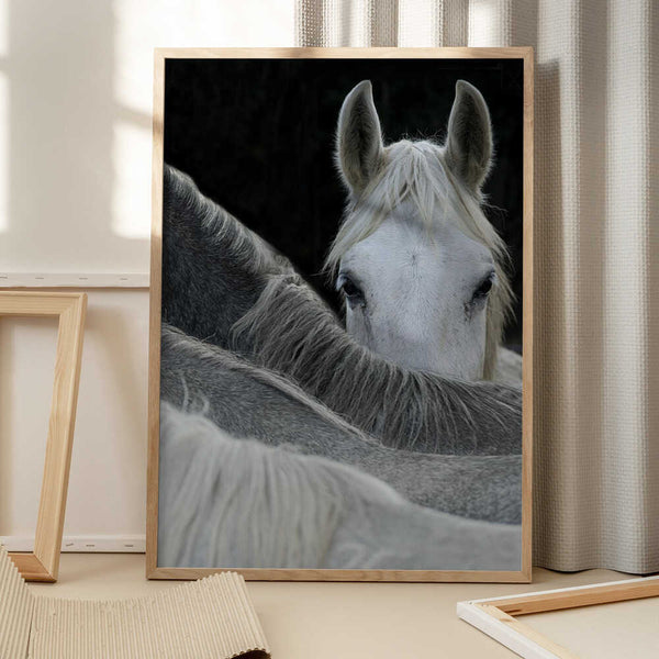 Tablou înramat „Look” de Milan Malovrh