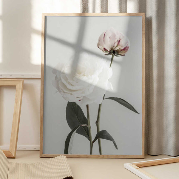 Tablou înramat „Peony 12” de Pictufy Studio III