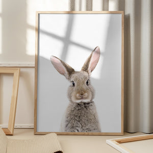 Tablou înramat „Baby Rabbit” de Kathrin Pienaar