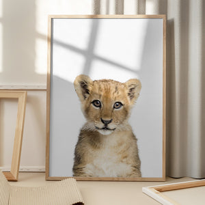 Tablou înramat „Baby Lion” de Kathrin Pienaar