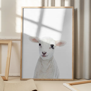 Tablou înramat „Baby Lamb” de Kathrin Pienaar