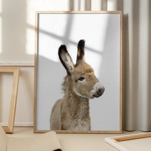 Tablou înramat „Baby Donkey” de Kathrin Pienaar