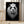 Tablou înramat „PANDALION” de Adam Lawless