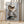 Tablou înramat „karate sloth” de Adam Lawless