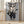Tablou înramat „heavy metal cat” de Adam Lawless