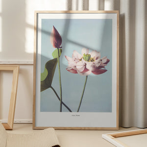 Tablou înramat „ Lotus Flowers” de Ogawa Kazumasa
