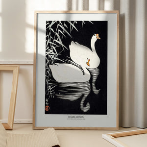 Tablou înramat „White Chinese Geese Swimming by Reeds” de Ohara Koson